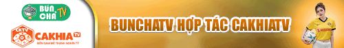 banner-footer