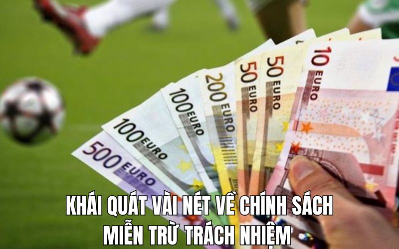 Tổng quan sơ lược về điều khoản miễn trách nhiệm